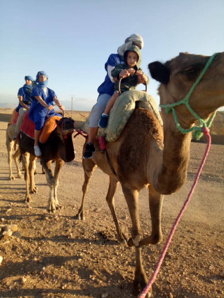 carousel camel and tourist in desert with excursion tours marrakech