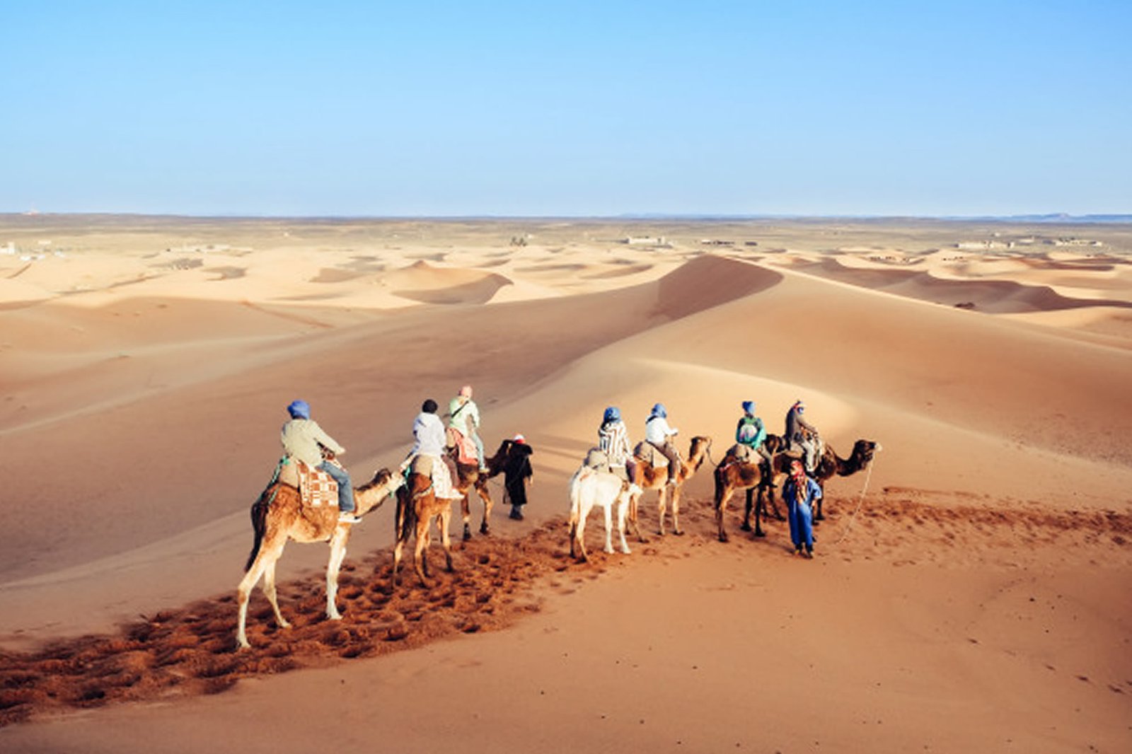 camel Merzouga marrakech tours day desert
