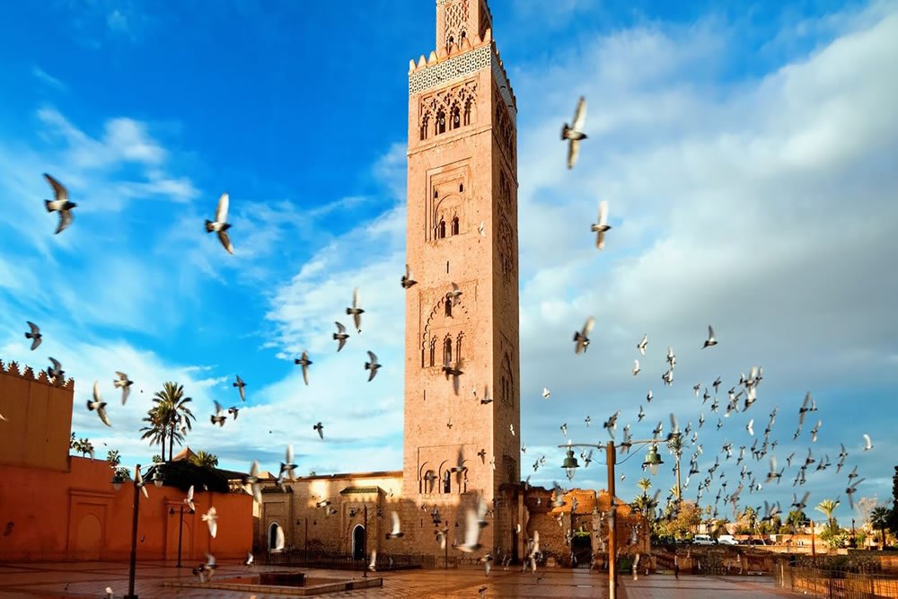 koutoubia marrakech trip tours day desert