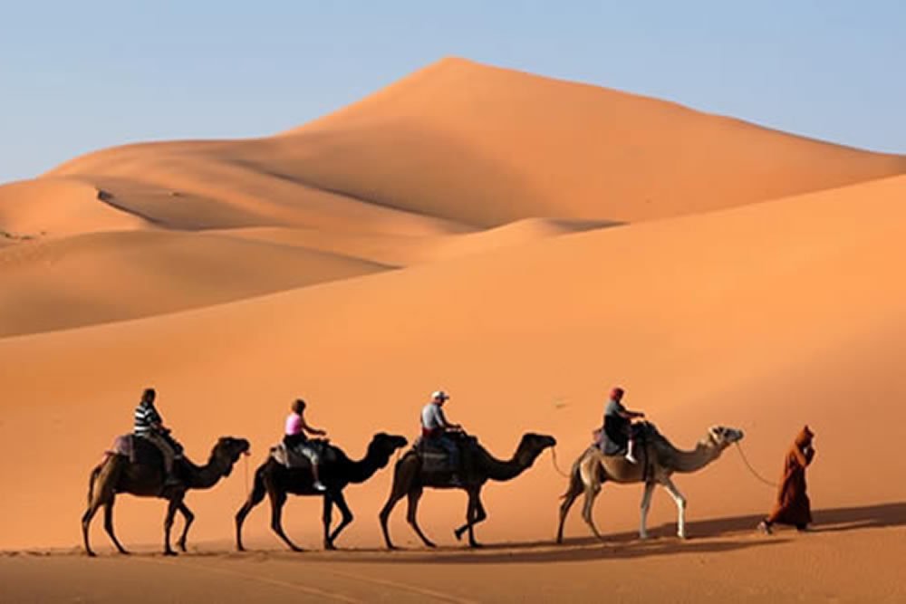 desert camel marrakech ZAGORA