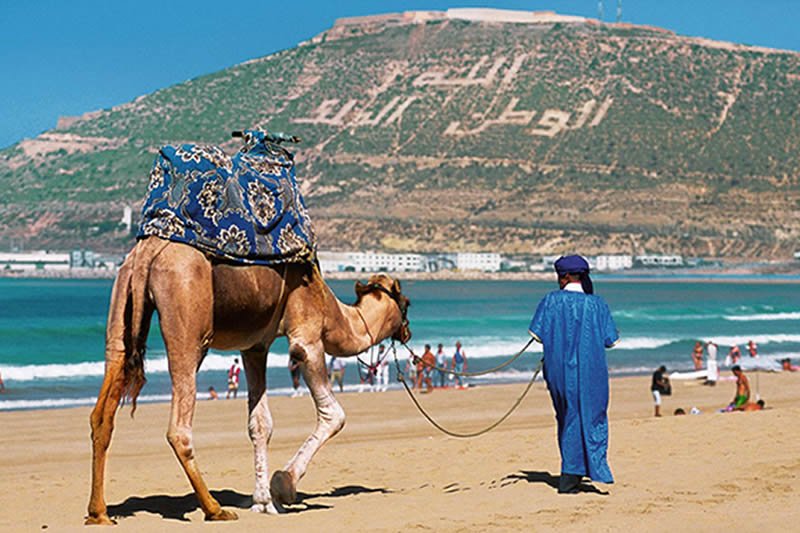 marrakech-transportation-services-morocco-new-cars