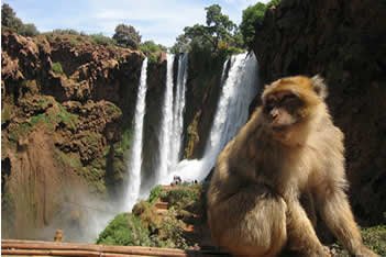 OUZOUD WATERFALL DAY TRIP FROM MARRAKECH